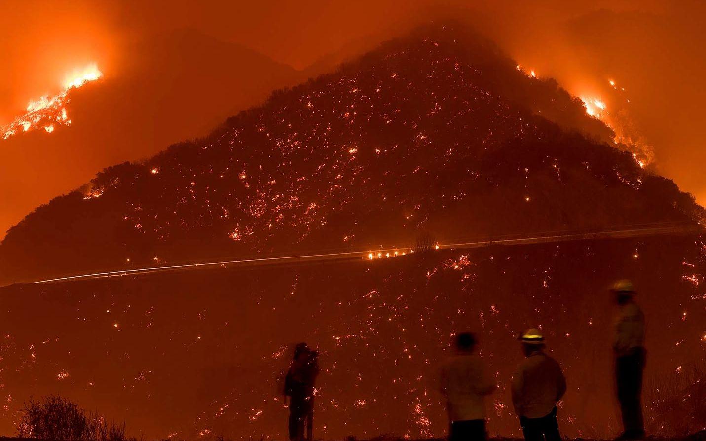 Thomasbranden rasar i Los Padres nationalpark nära Ojai, Kalifornien. BILD: Noah Berger/AP
