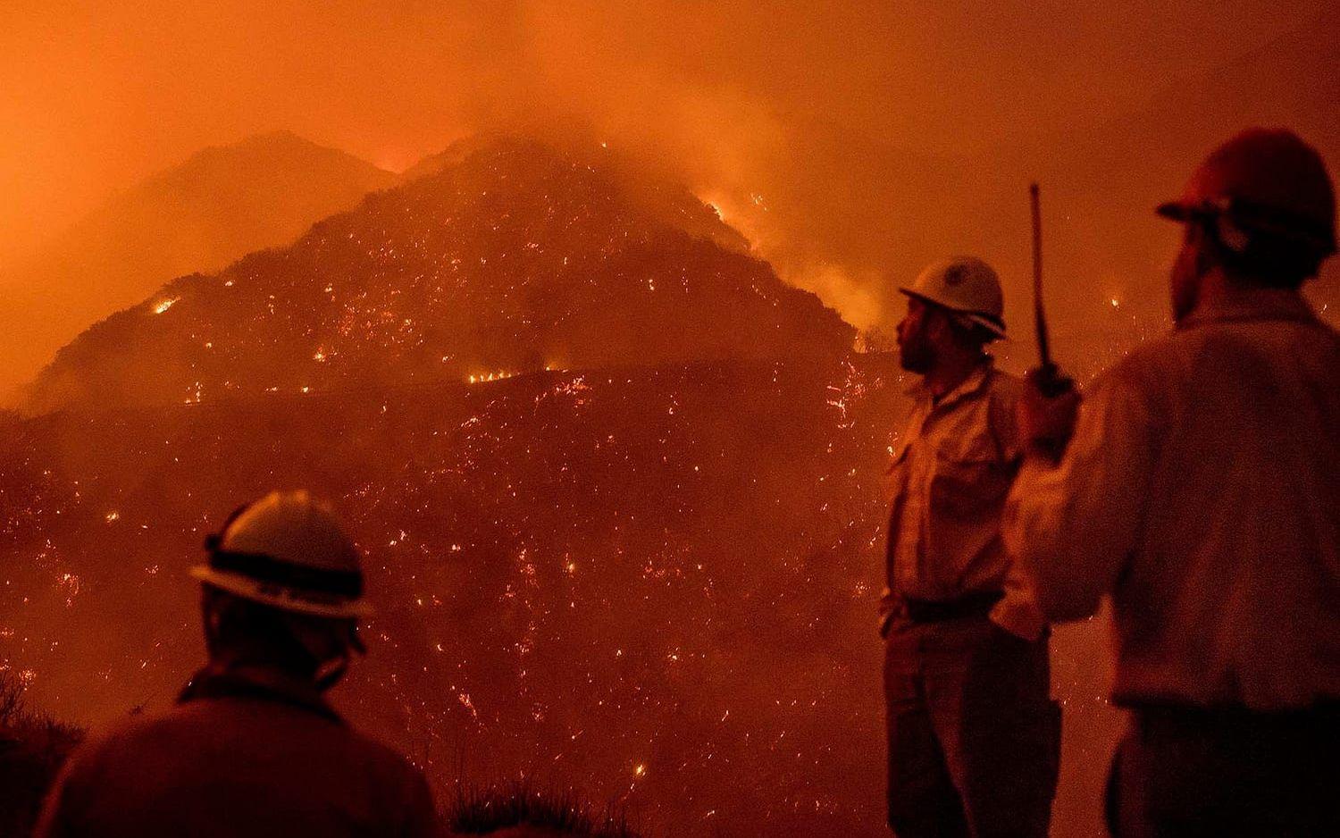 Thomasbranden rasar i Los Padres nationalpark nära Ojai, Kalifornien. BILD: Noah Berger/AP
