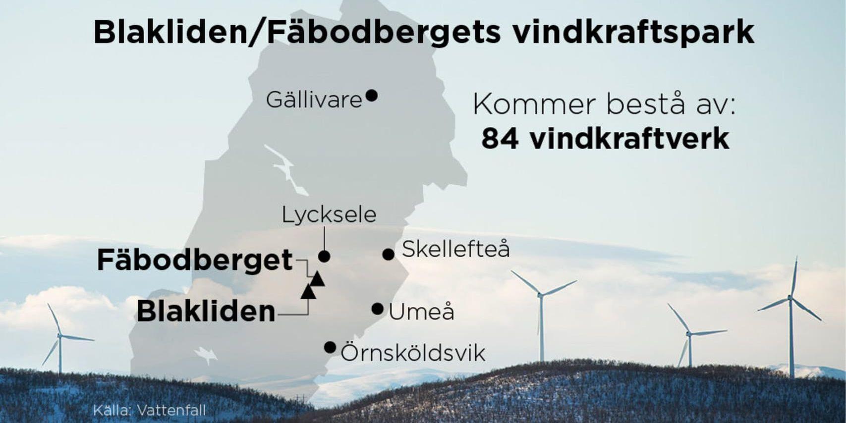 Här satsar Vattenfall på sin hittills största vindkraftpark.