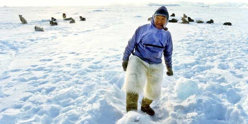 "Taitsiánguaq Simigaq har tagit rast ute på havsisen i Smiths sund. För att få vatten till sitt te letar han efter rätt snö. 