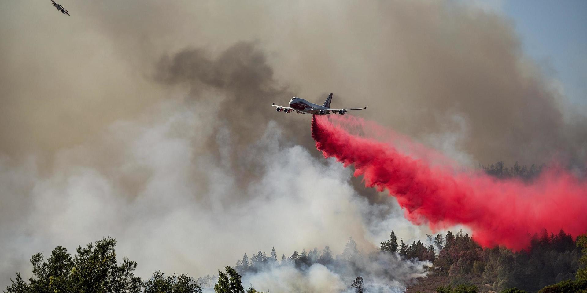 En omfattande skogsbrand rasar i Napadalen i Kalifornien.
