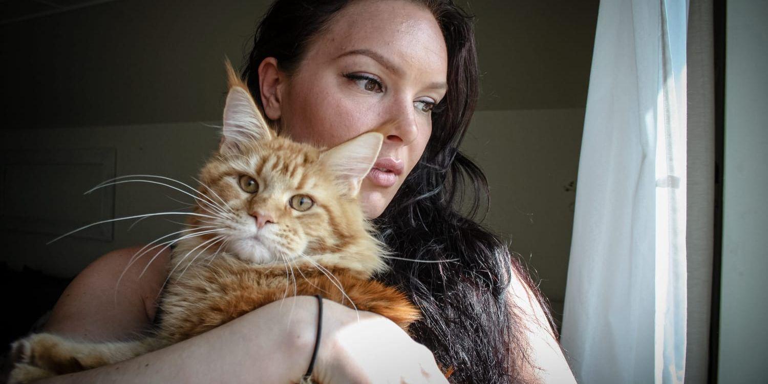 Alexia Agersten kramar hårt om sin katt Boston. Natten mot lördag hittade hon grannkatten Sally svårt misshandlad utanför bostaden i Sävedalen