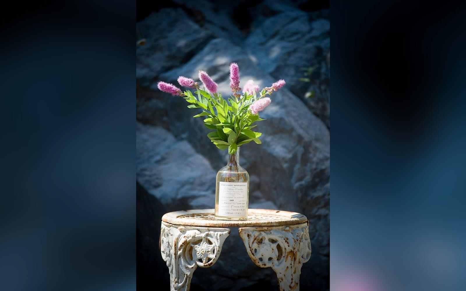 Antikt kafébord med blommor i flaska. Foto: David Magnusson/SvD/TT