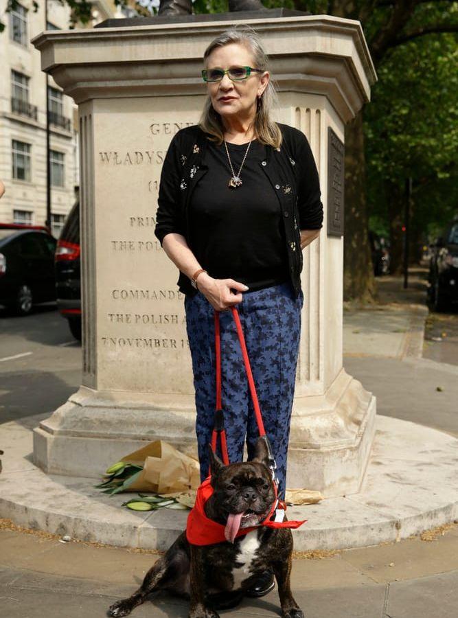 Carrie Fisher delade sin tid mellan Los Angeles och London. Här på bild i London med hunden Gary. Bild: TT