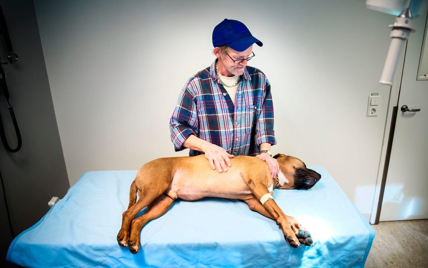 Dan Lindberg och hunden Rex besöker djursjukhuset. 