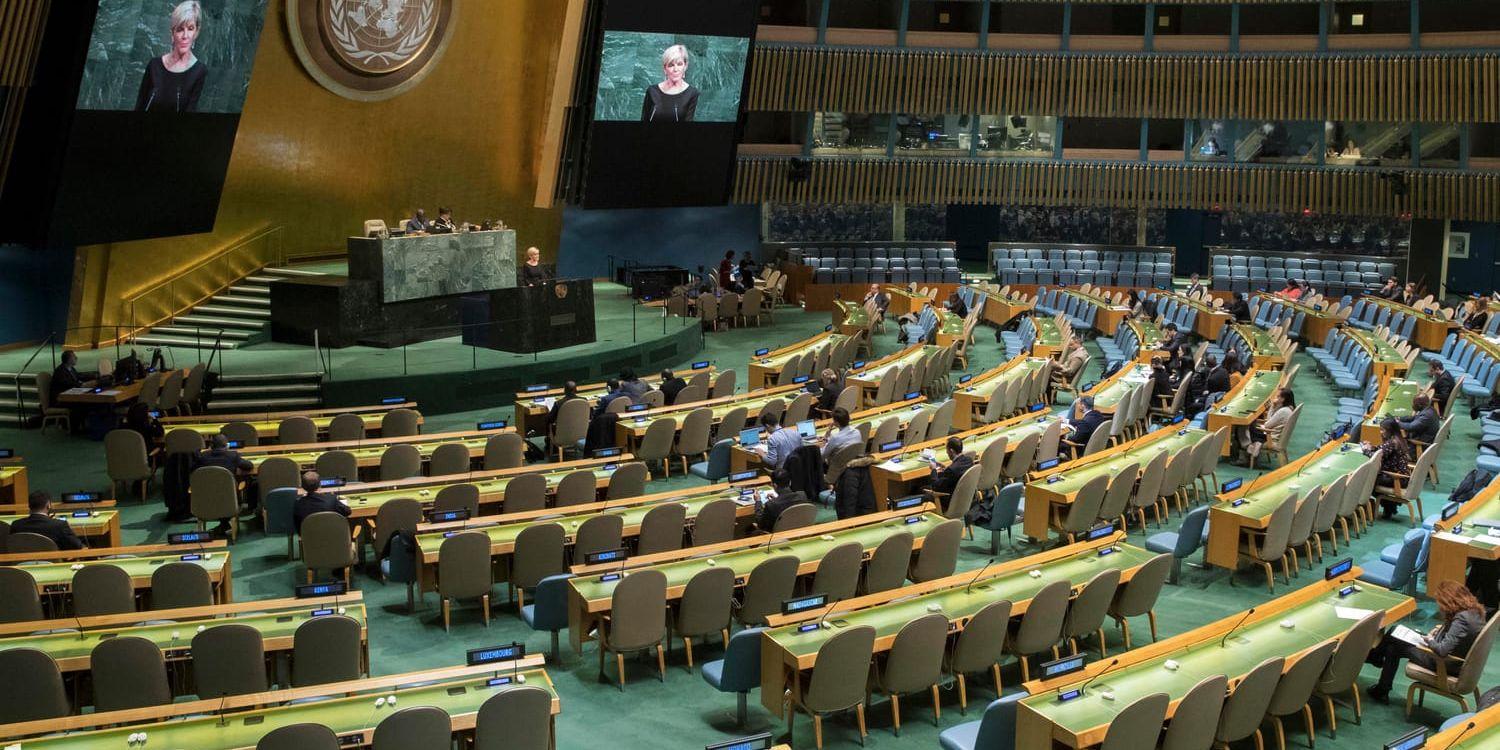 FN:s generalförsamling. Arkivbild.