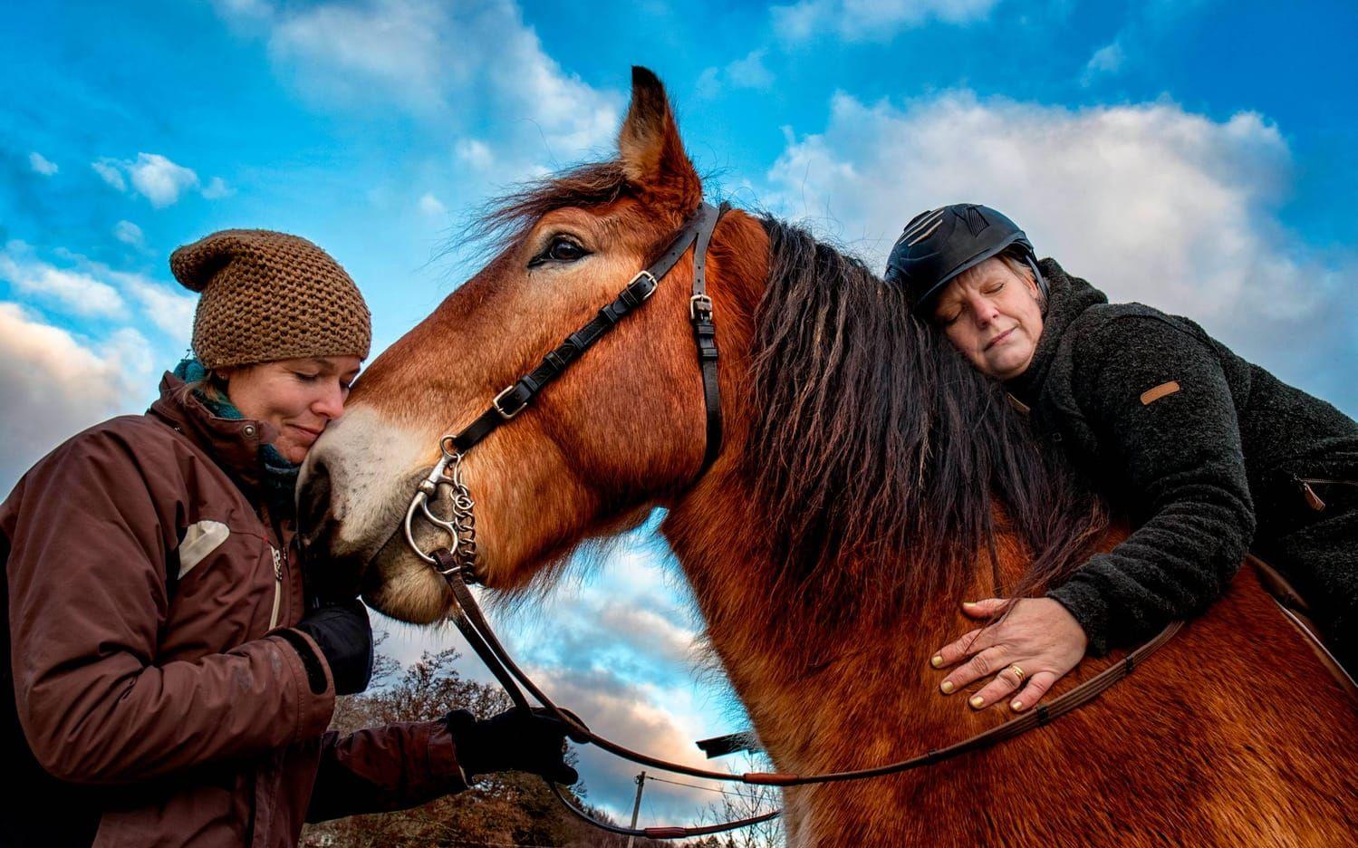 Det är en skön känsla att få uppleva kontakten med ett varmt, tryggt djur. Dessutom kan det leda till bättre hälsa. På hästen är det självklart att man måste vara medveten om sin egen kropp. Sjukgymnast Petra Gunnarsson håller i tyglarna medan Carina Hofling ger ardennerhästen Julle en kram. Bilder: Lisa Thanner.