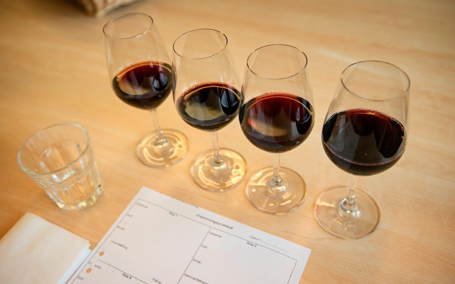 Sista gången fick det bli alkoholfritt vin från ICA, till medlemmarnas besvikelse. Bild: Jonas Lindstedt