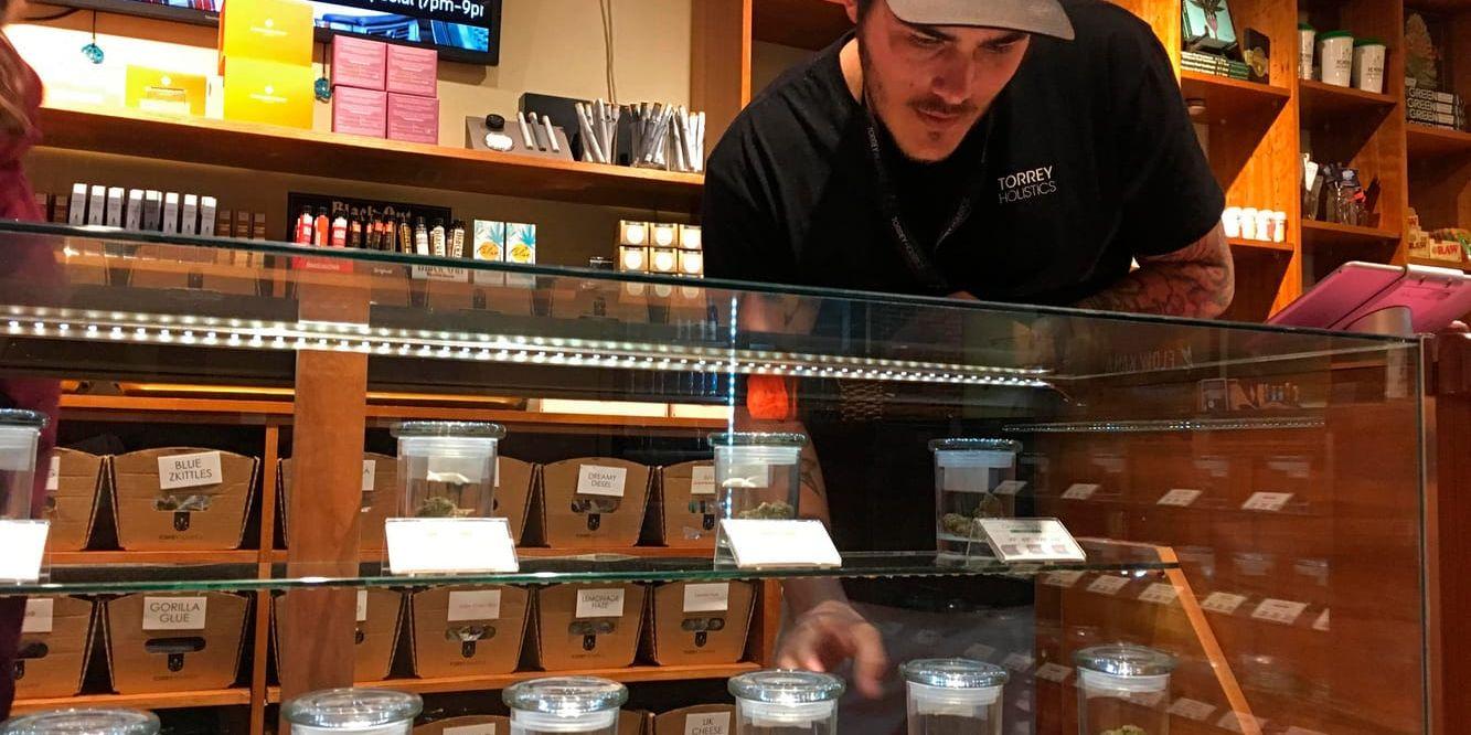En anställd på företaget Torrey Holistics arrangerar burkar med cannabis i disken på en affär, som från och med årsskiftet får börja sälja drogen för privat bruk.