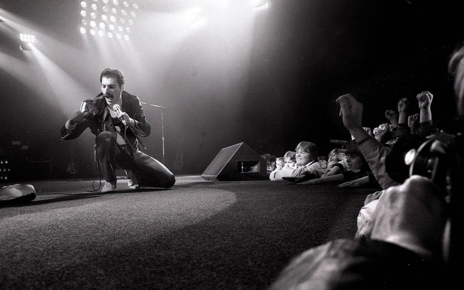 Freddie Mercury under en Queen-konsert i Oslo 1982. Foto: TT