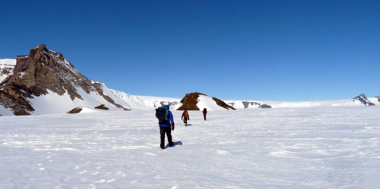 Forskare samlar in stenprover från nunataker i Milorgfjella i Dronning Maud Land, Antarktis. Bilden togs under 2016/17 års expedition.