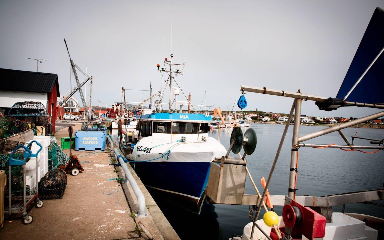 Båtarna i Hönö Röds hamn vid kaj. Bild: Jonas Lindstedt