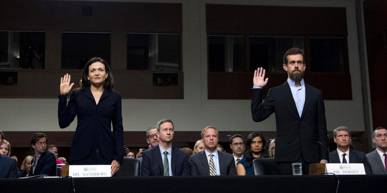 Både Facebooks vd Sheryl Sandberg och Twitters vd Jack Dorsey har vittnat i senatens underrättelseutskott.
