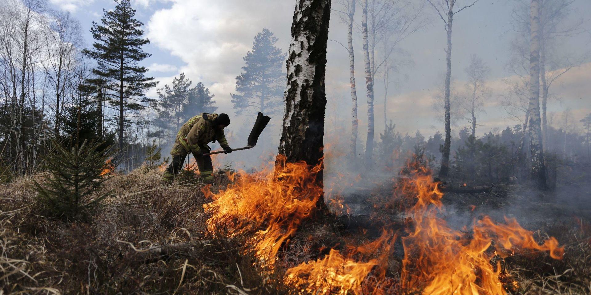 Räddningstjänsten varnar nu för att det är stor risk för gräs- och terrängbränder i Göteborgsområdet. Bilden är från en skogsbrand i Olofstorp förra året. 