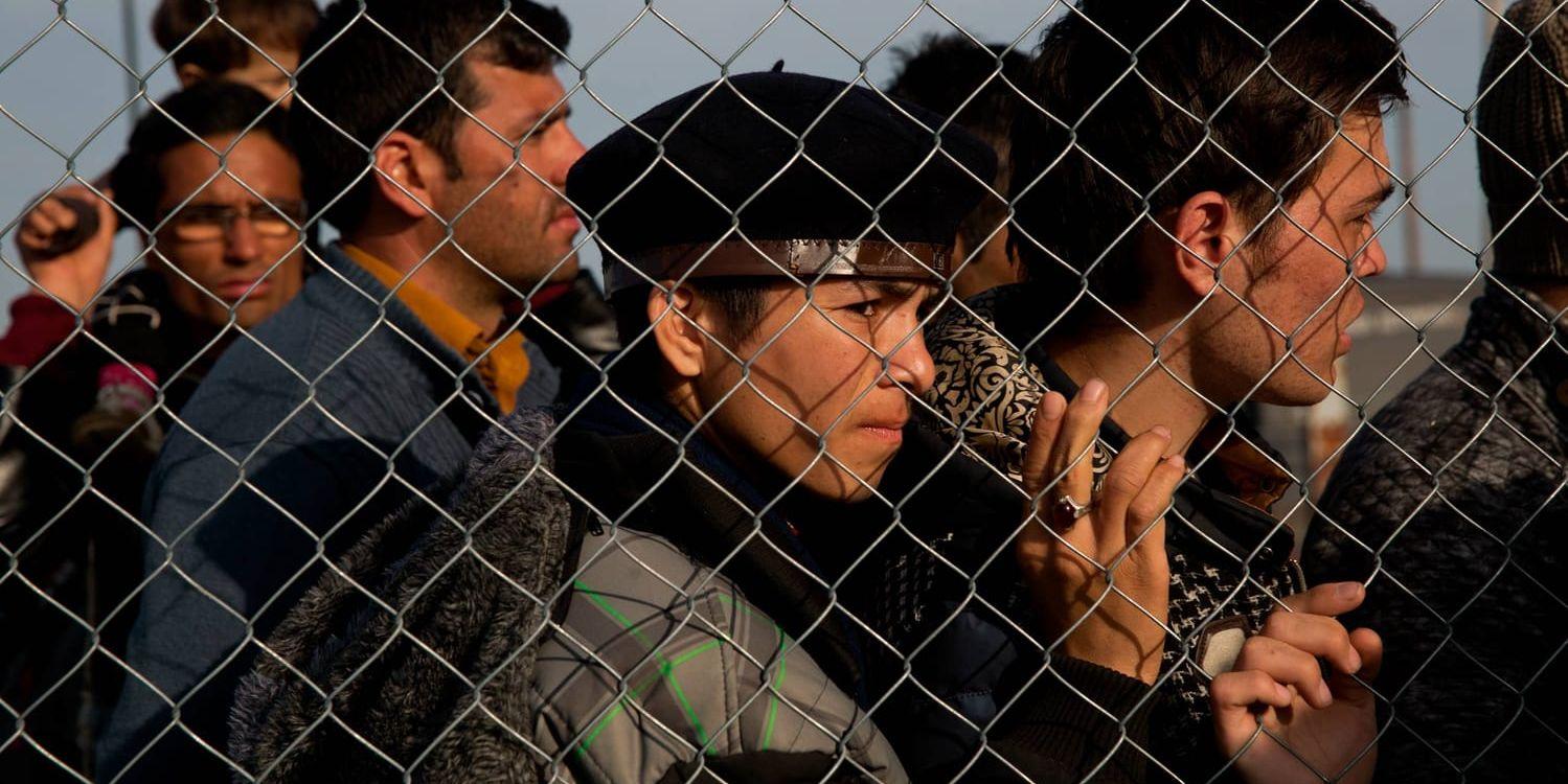 Afghanska flyktingar vid den grekiska gränsposten Idomeni. "Resan till Grekland var mycket farlig. Vattnet var mycket kallt", säger 19-årige Arif, som tog sig från Afghanistan till Sverige med hjälp av flyktingsmugglare. Arkivbild.
