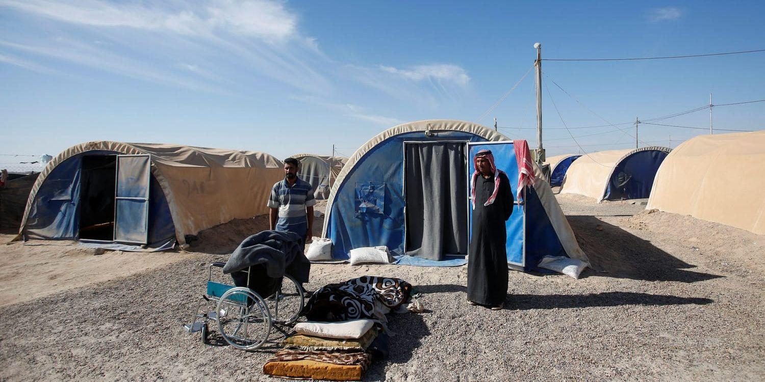 En familj på flykt vid lägret Amiriyat al Fallujah i provinsen al-Anbar i Irak.