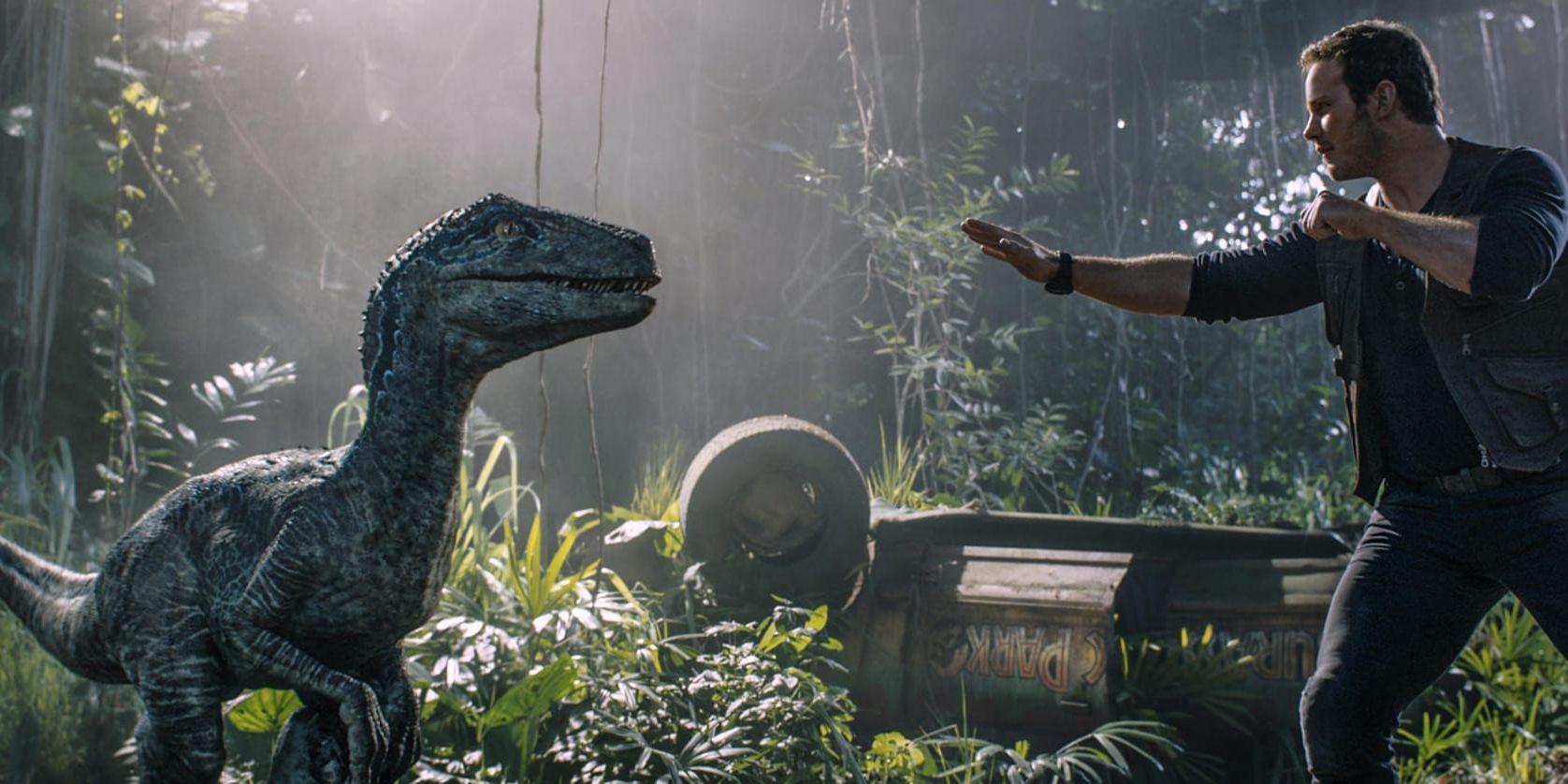 Chris Pratt och en av dinosaurierna i "Jurassic world: Fallen kingdom". Pressbild.