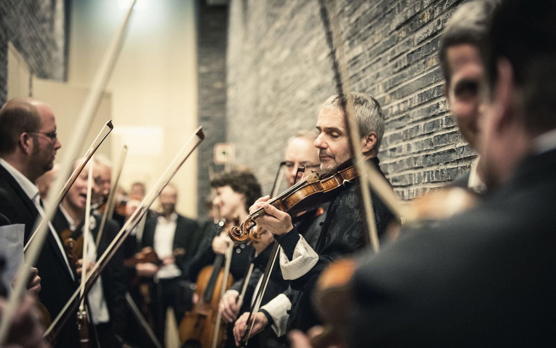 Norska kammarorkestern, som ger tre konserter  ledda av sin konstnärlige ledare, Terje Tønnesen.