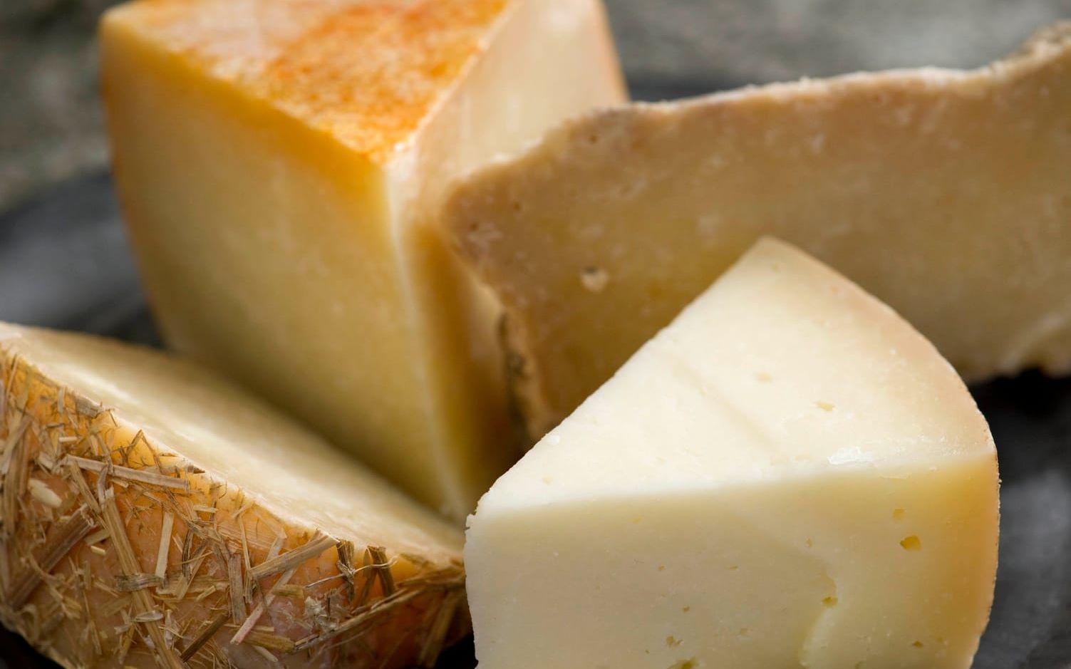 Enligt en ny studie förlänger du livet genom att bland annat äta ost. Bild: TT