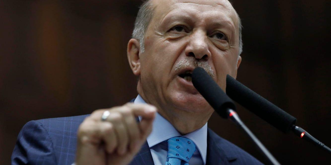 Turkiets president Recep Tayyip Erdogan talar inför sina anhängare i det turkiska parlamentet dagen innan den nya säkerhetslagen antas. Arkivbild.