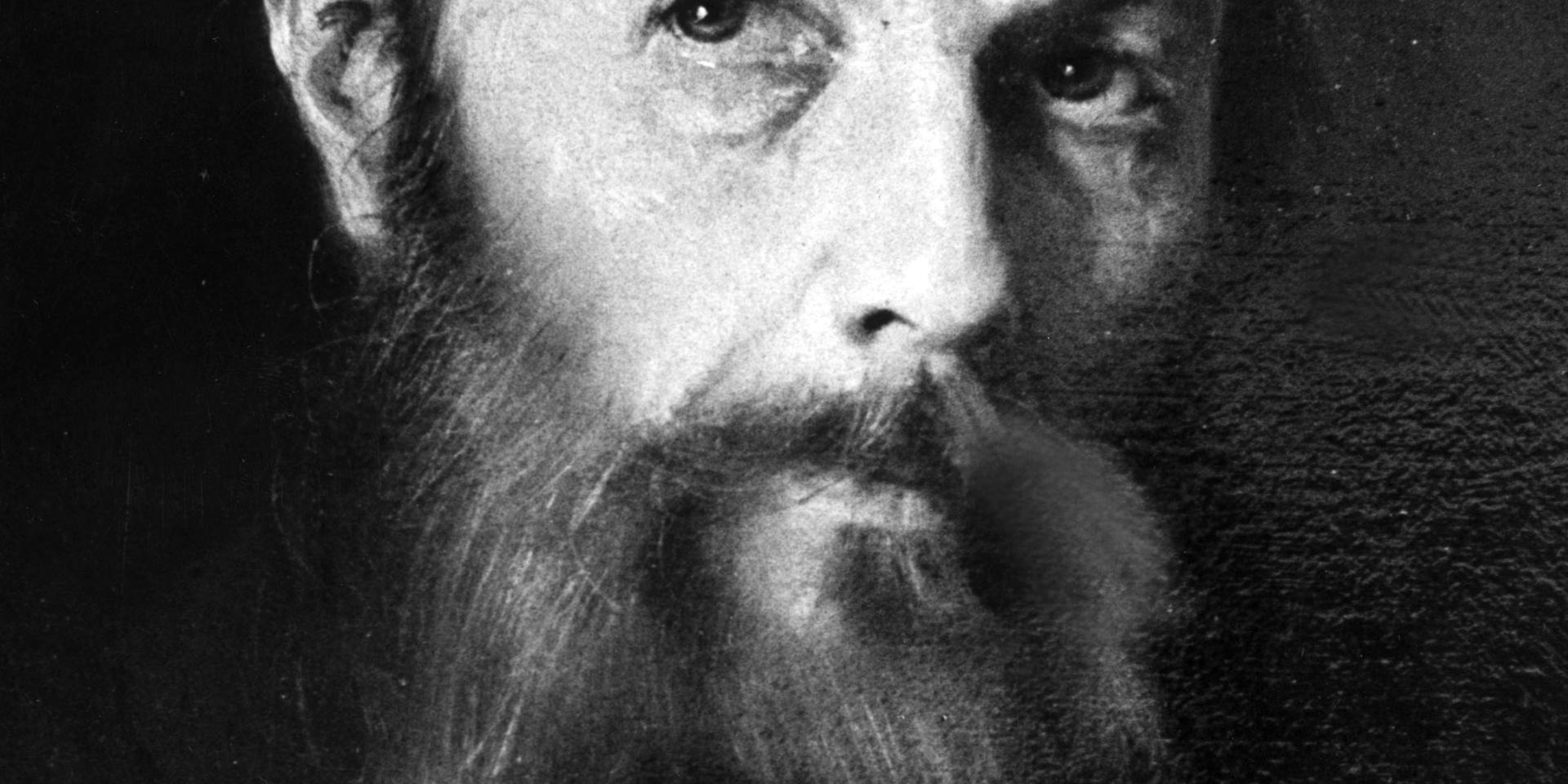 Fjodor Michailovitj Dostojevskij rysk författare målad i olja av M. Stecherbetov 1870-80.