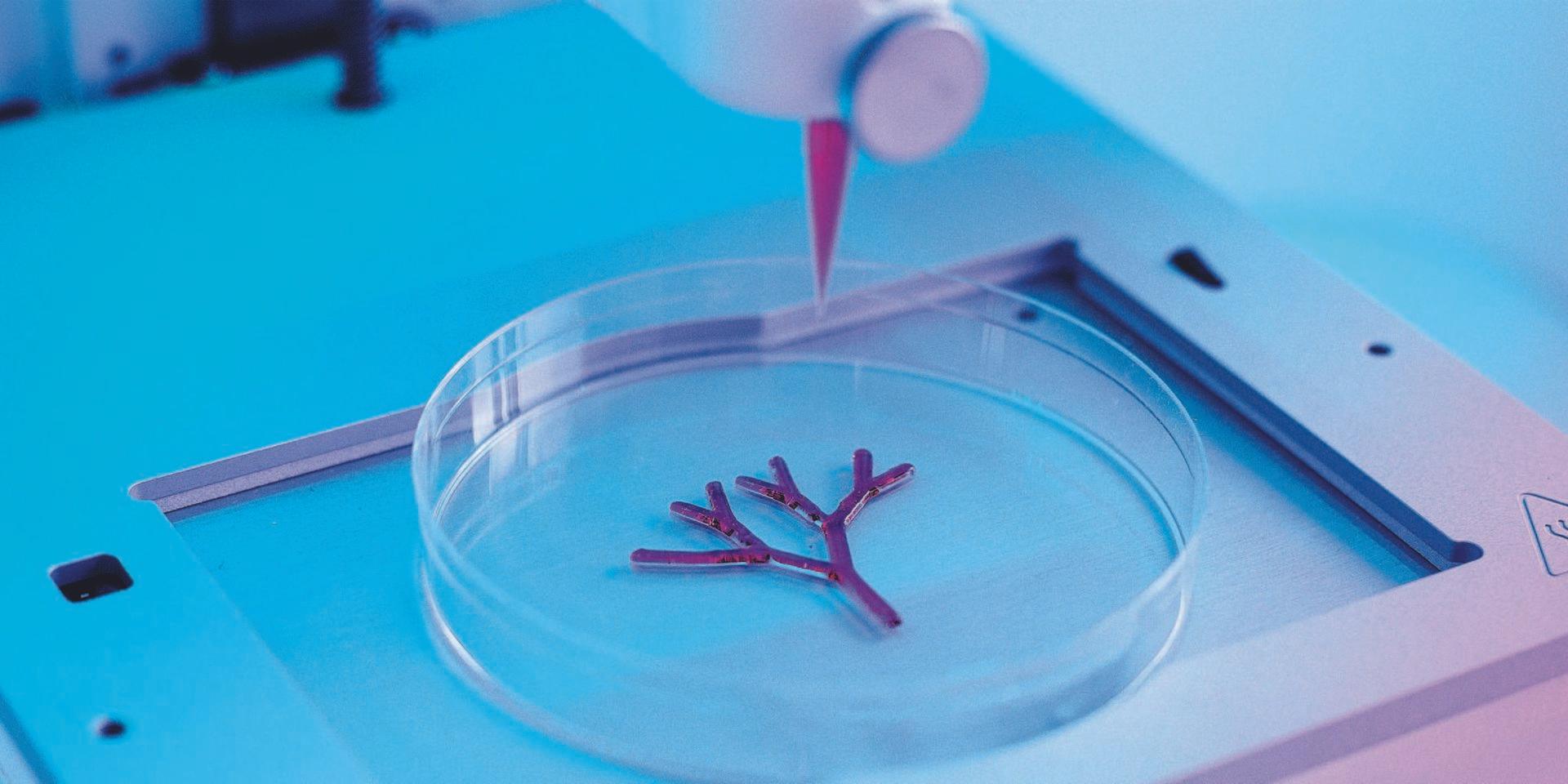 Medicinteknikföretaget Cellink är specialiserade på biobläckskrivare – man har utveckliat teknik för att skriva ut mänsklig vävnad.