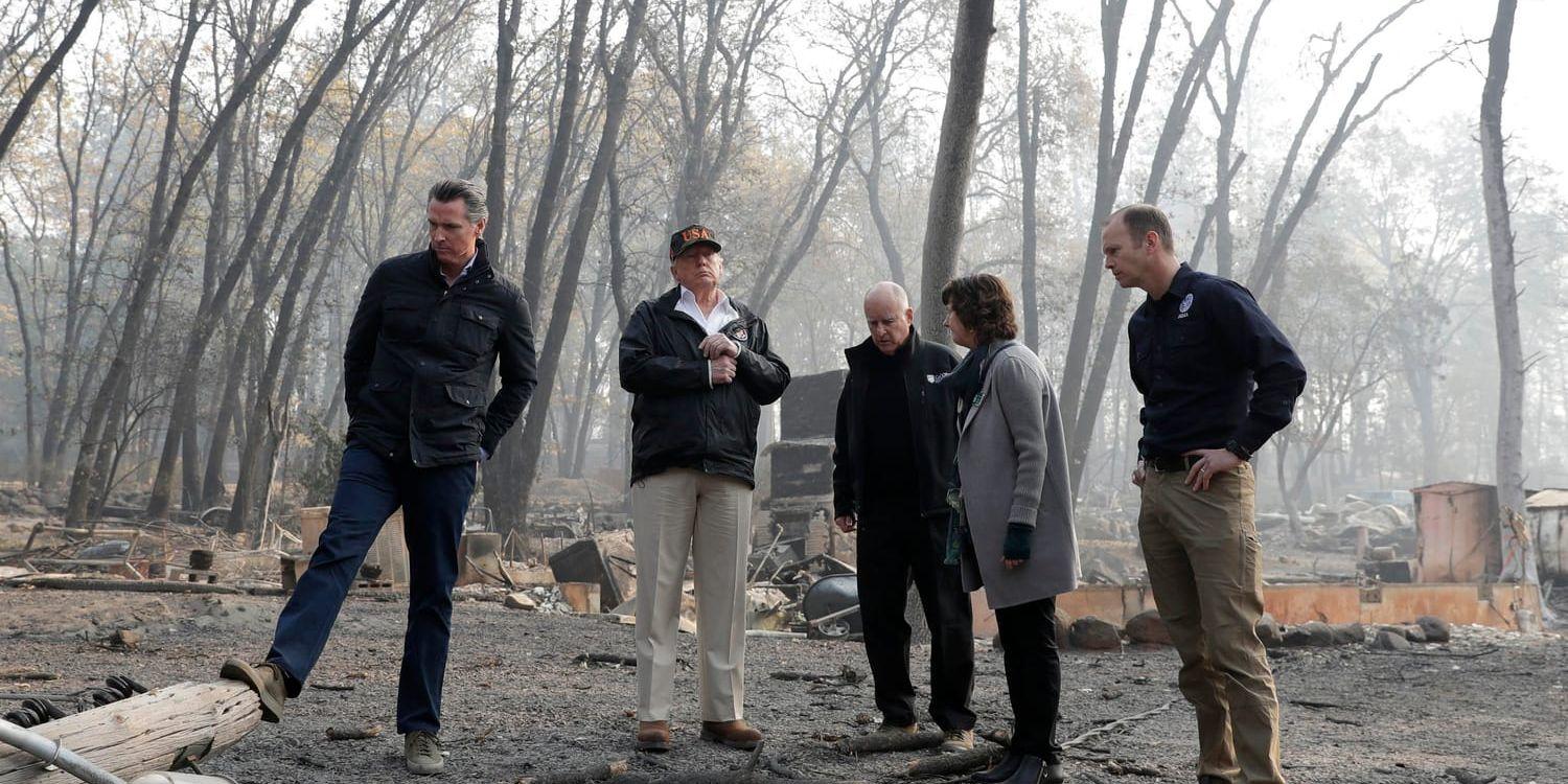 President Donald Trump besöker brandhärjade områden. På bilden syns bland andra Kaliforniens guvernör Jerry Brown.