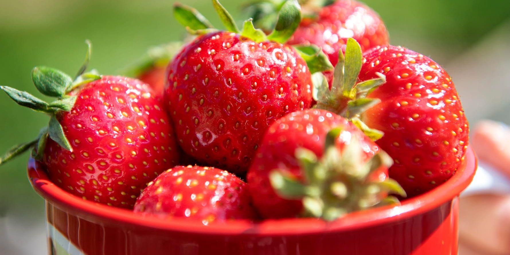 En livsmedelskedja i Nya Zeeland drar in australiska jordgubbar sedan en synål hittats instucken i ett parti. Arkivbild.