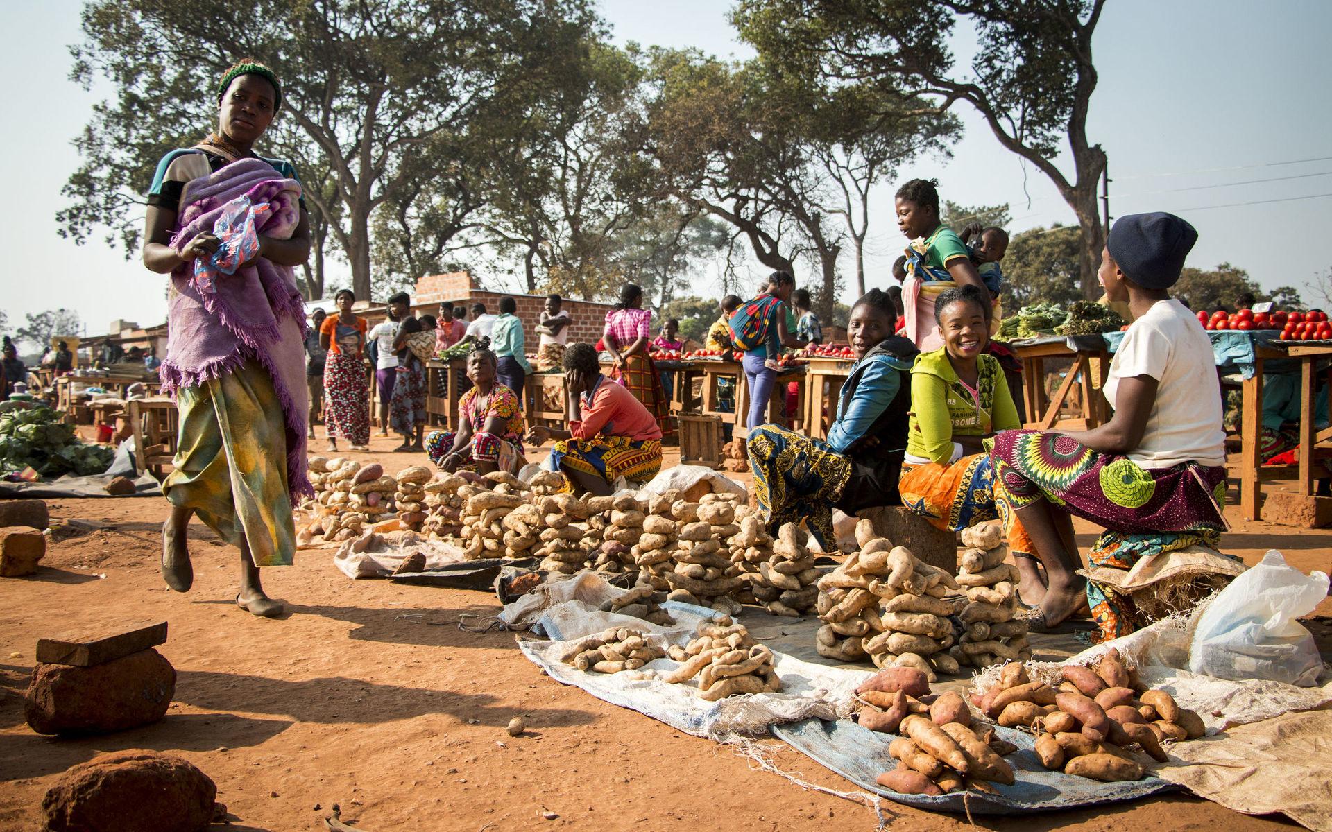 Kassava och andra grönsaker säljs på en marknad i Solwezi. Jordbruk utgör livsnerven för en majoritet av Zambias befolkning och i Nordvästra provinsen är formella anställningar förunnade få invånare.