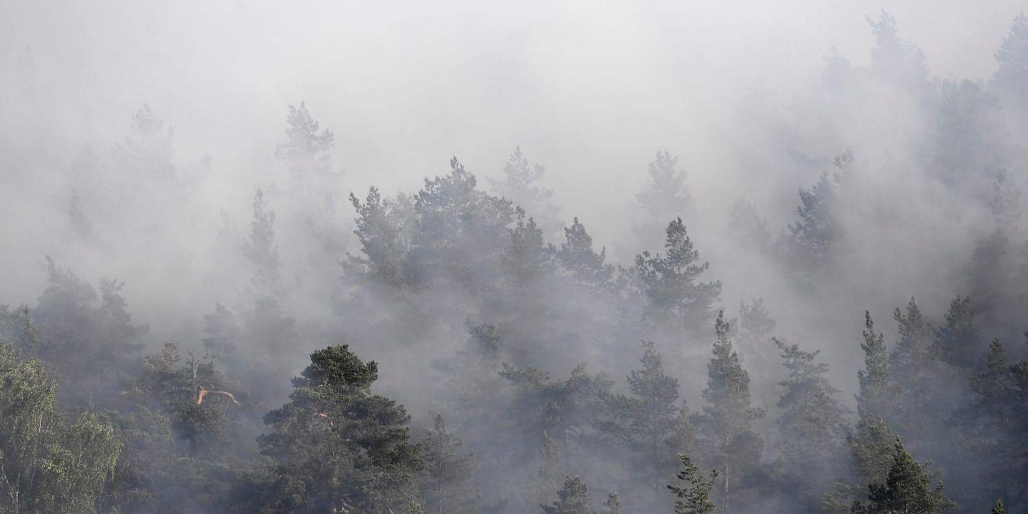 Den extrema torkan har lett till många skogsbränder på flera håll i Sverige. På fredagen började ett område omkring 34 fotbollsplaner i Nacka öster om Stockholm, att brinna. Arkivbild.