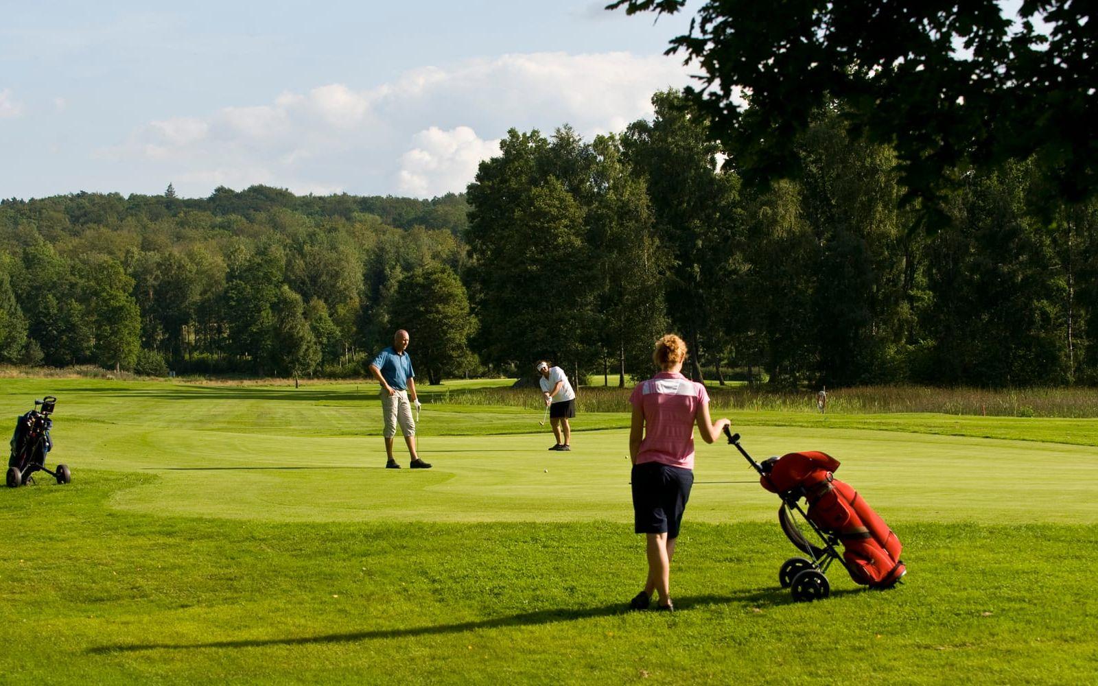 Ridsport och golf innefattas nu i friskvårdsbidraget.