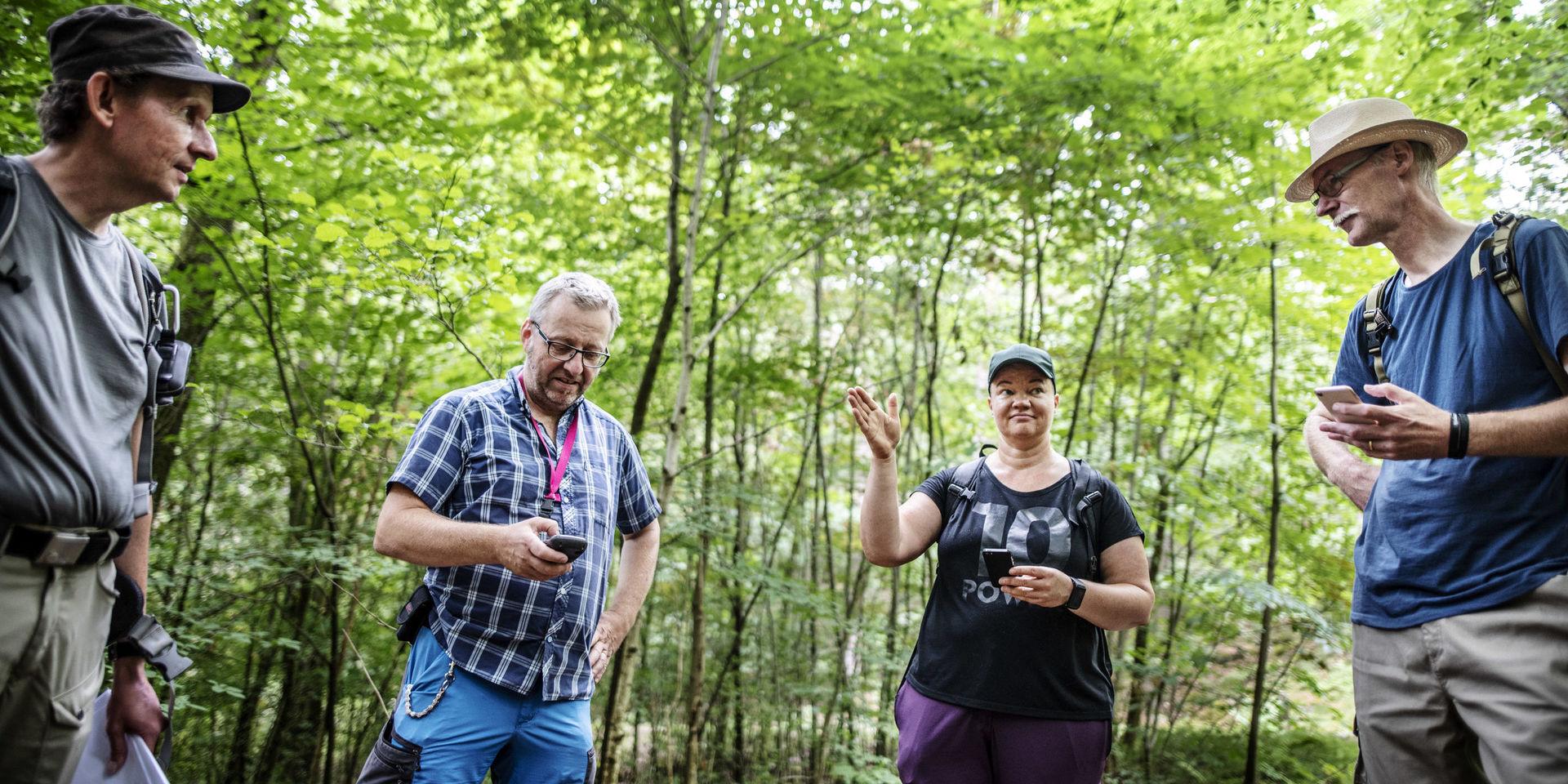 Per Hallén, Lars Johansson, Jessica Engelbrekt och Herbert Månsson i skogen på geocaching-äventyr. Fenomenet finns i många länder men enligt Per Hallén är det extra populärt i Tyskland.