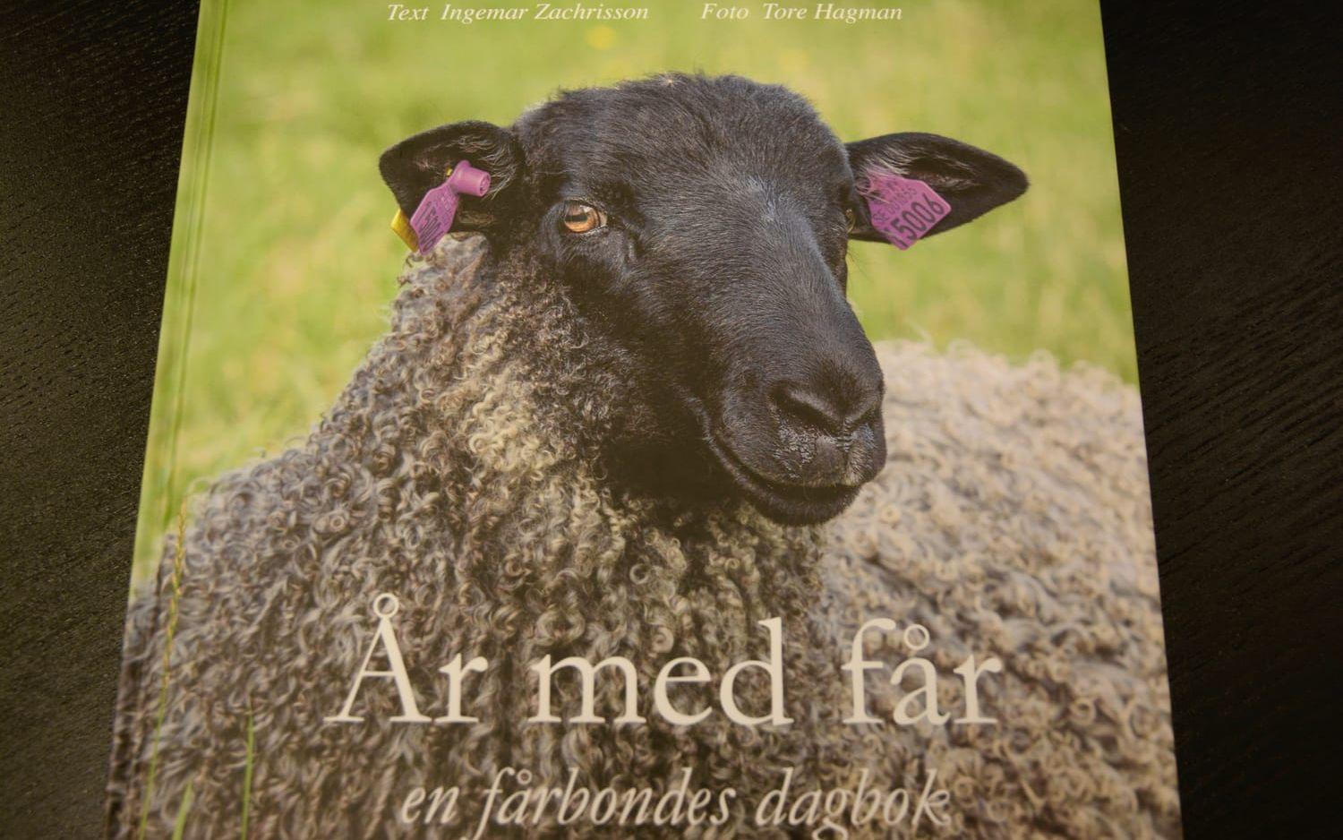 I dagarna har Ingemar Zachrisson släppt sin bok där han delar med sig av sina erfarenheter som fårbonde. Bild: Karina Hansson