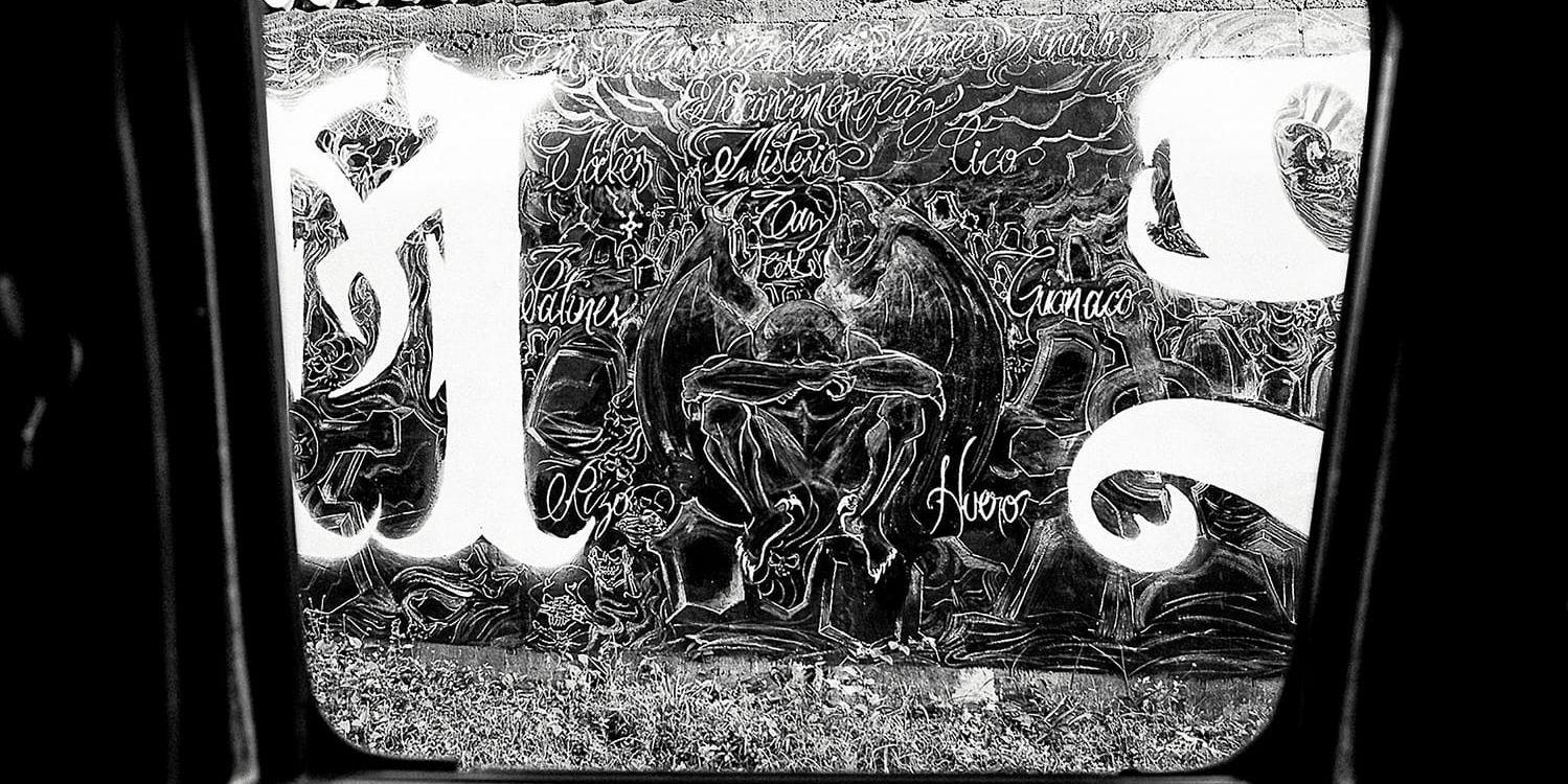 
     BildtextGraffiti gjord av gänget Mara Salvatrtucha 13 som är i krig med Barrio 18. Graffiti och tatueringar markerar vilket gäng man tillhör och vilka stadsdelar som gängen anser vara deras. 
   