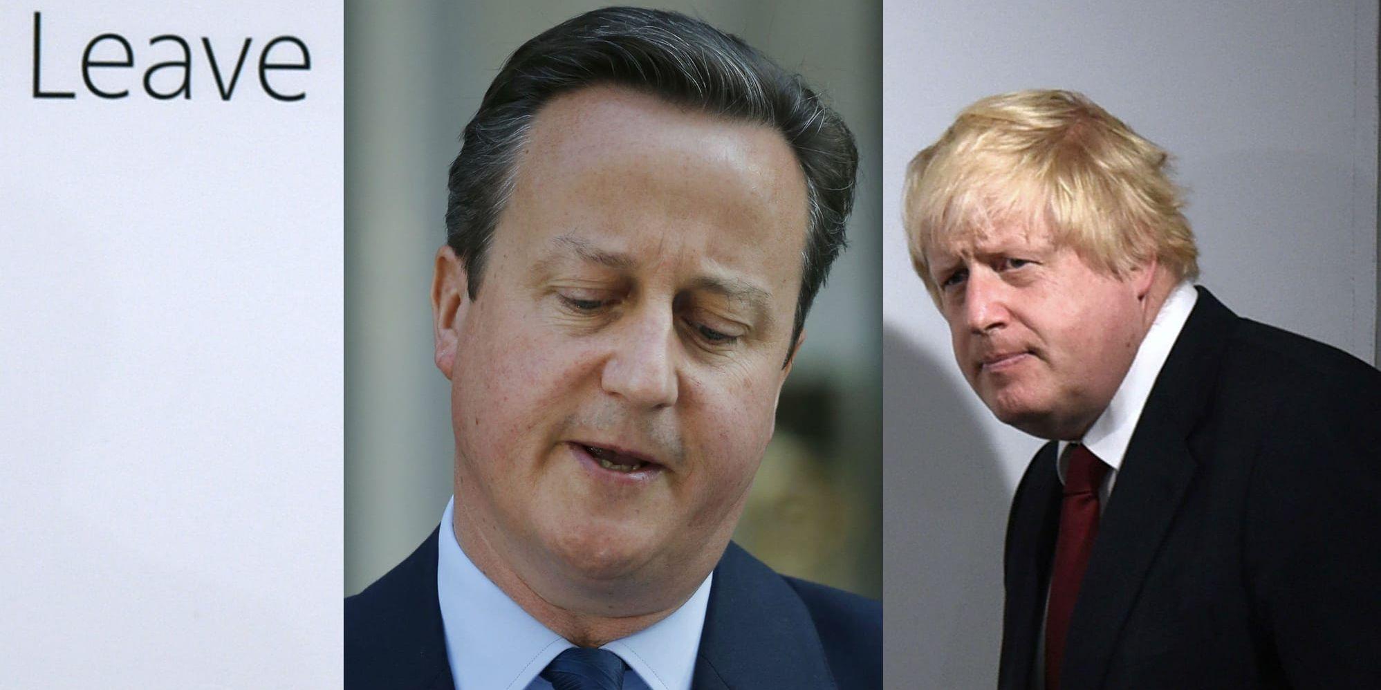 David Cameron och Boris Johnson dagen efter brexit-omröstningen. Foto: Alastair Grant/Mary Turner