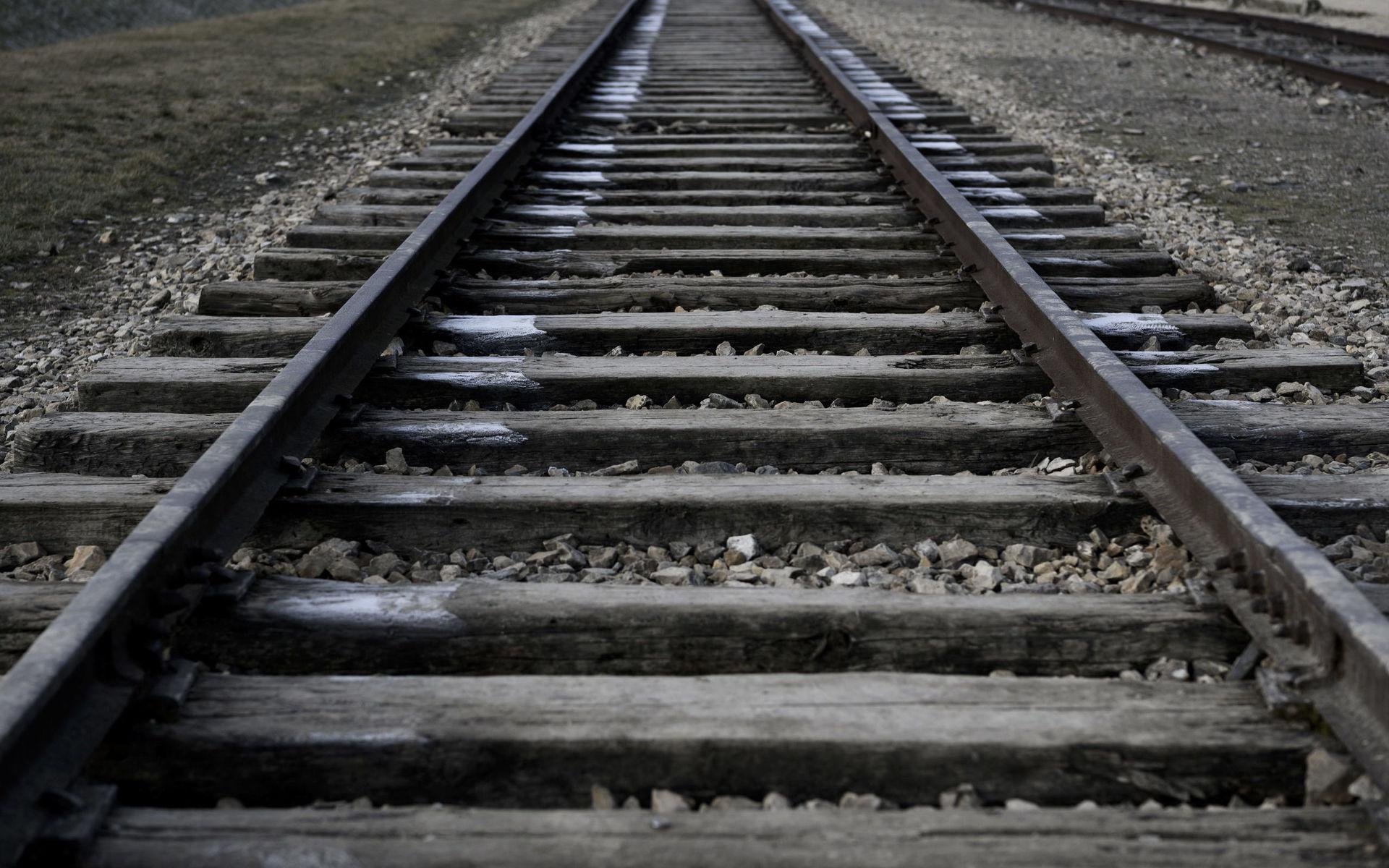 Järnvägsspåren som går rakt igenom koncentrationslägret. Det kom godståg med judar dagligen och när de gick av genomfördes så kallade selektioner.