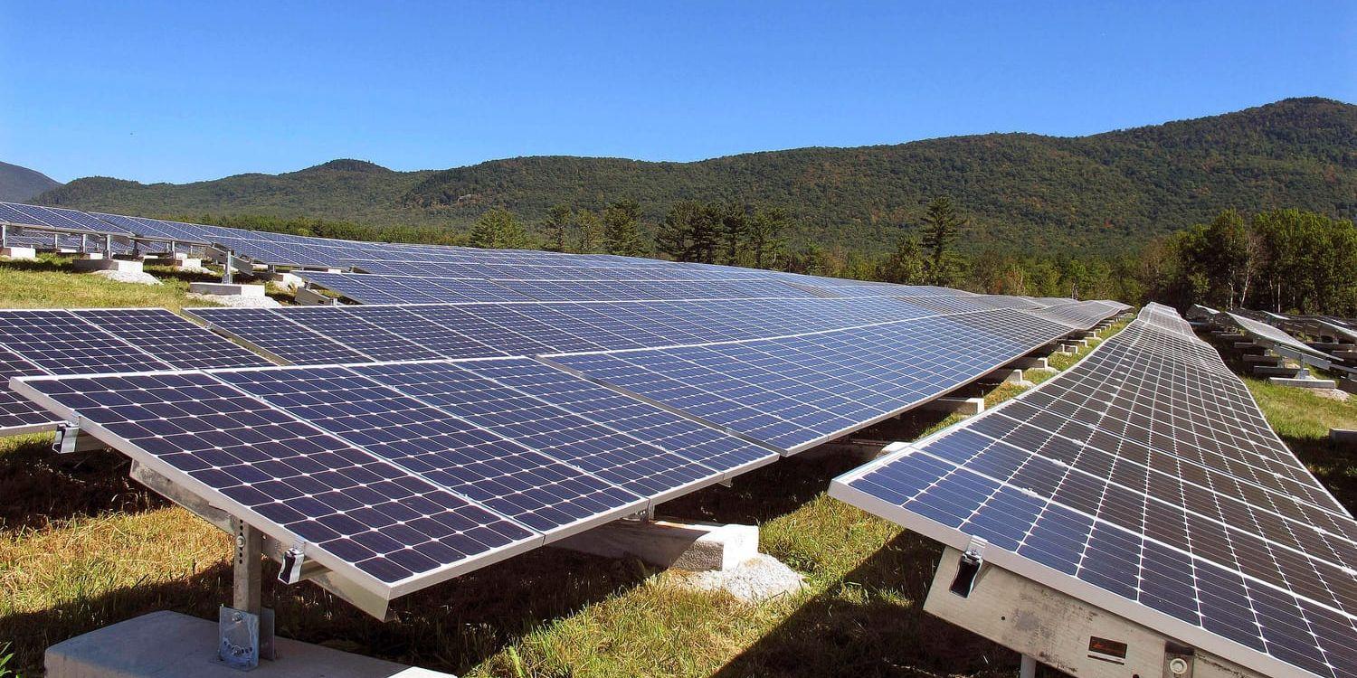 Solpanelerna blir snabbt billigare och fler. Men hur mycket ska vi satsa på solkraft och annan grön energi? Arkivbild.