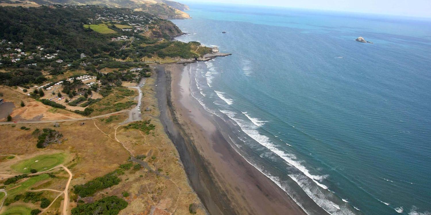 Stranden Muriwai utanför Auckland i norra Nya Zeeland, dit ofarliga vågor från söndagens skalv kan nå. Arkivbild.