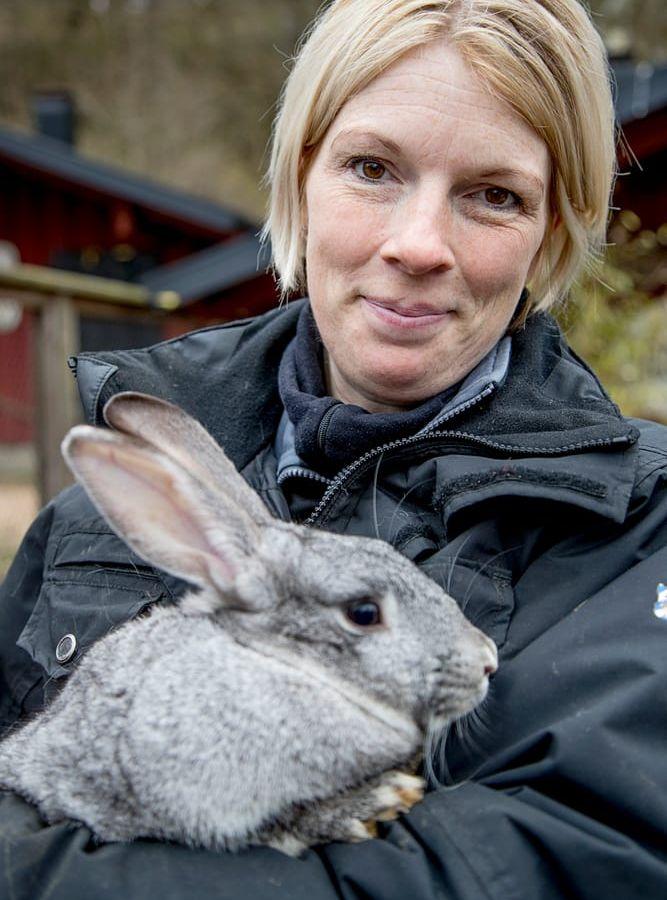 Anna Schönström, djuransvarig, med en av kaninerna som bor på Barnens zoo.