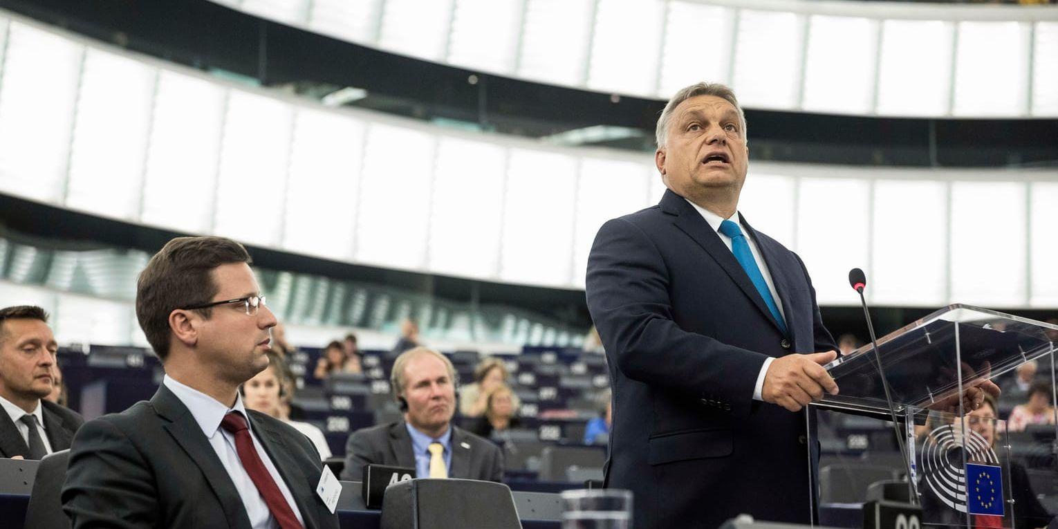 Ungerns premiärminister Viktor Orbán försvarade sig och sin regering i EU-parlamentet 11 september. Arkivbild.