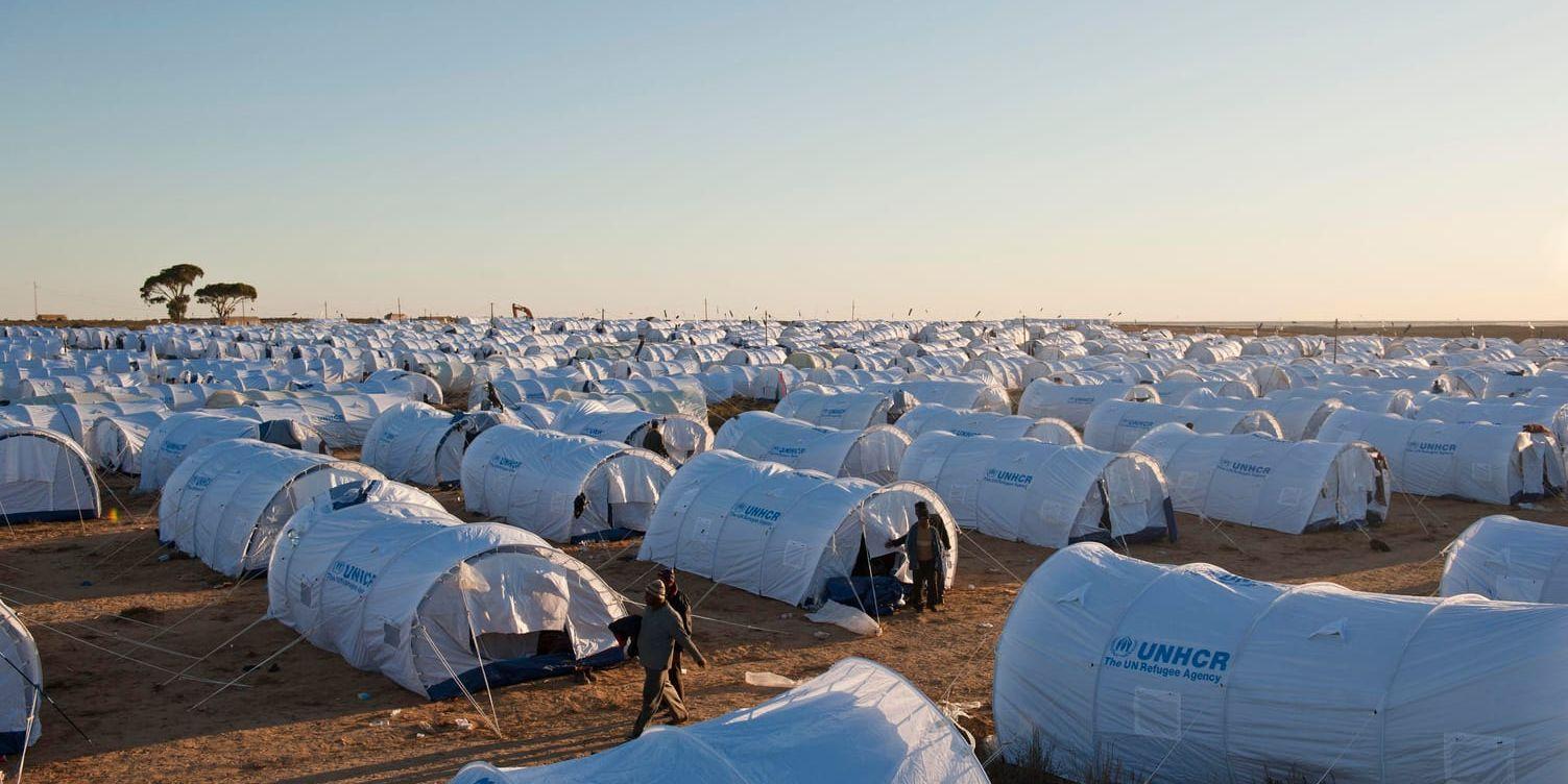 Ett av UNHCR:s flyktingläger i Tunisien. Lägret på bilden har inget med texten att göra. Arkivbild.