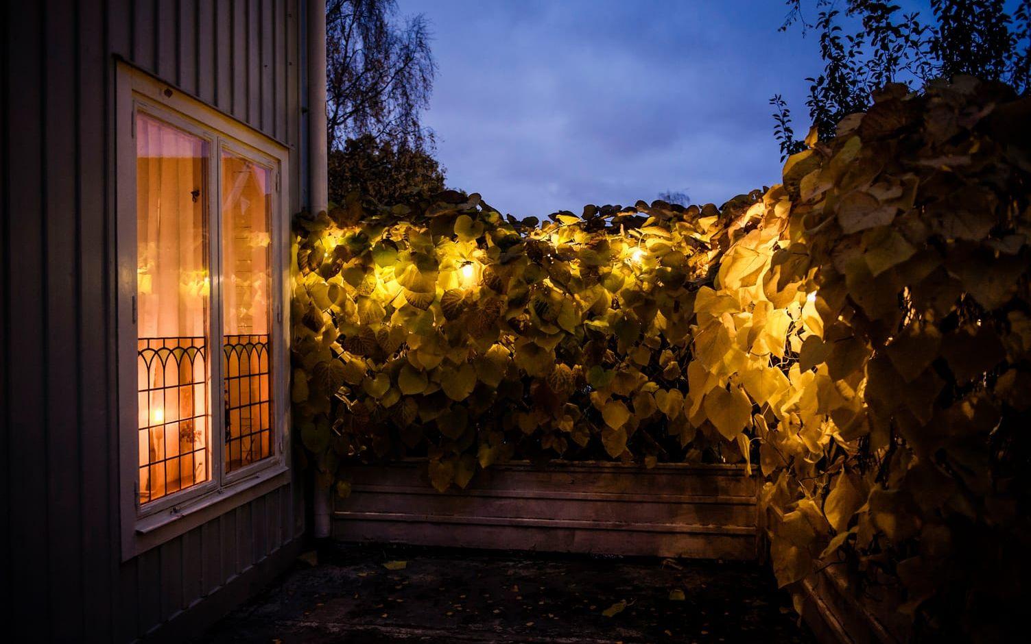 Med hjälp av trädgårdsbelysning kan du göra fint och skapa ett rum utanför fönstret. Se till att belysa det du tycker är vackert och blir glad av att se. Foto: Marc Femenia/TT