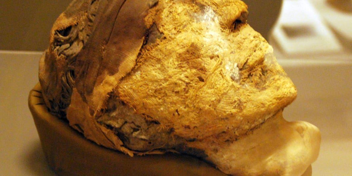 Det mumifierade huvudet som tillhörde guvernören Djehutynakht.