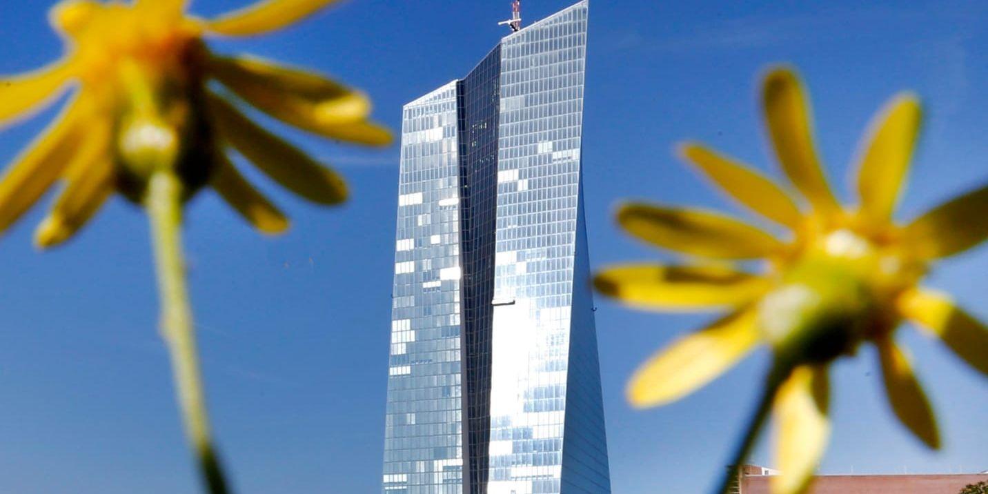 ECB:s huvudkontor i Frankfurt. Arkivbild.