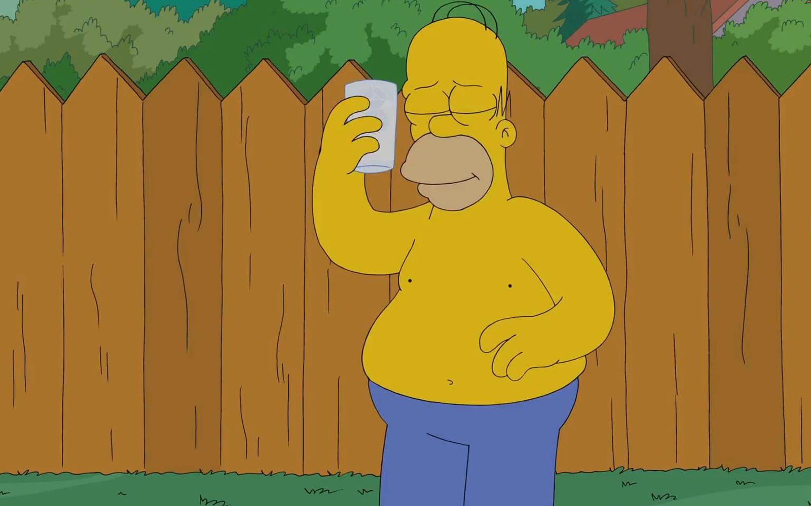 Homer Simpsons röst känner vi alla igen. Foto: Stella