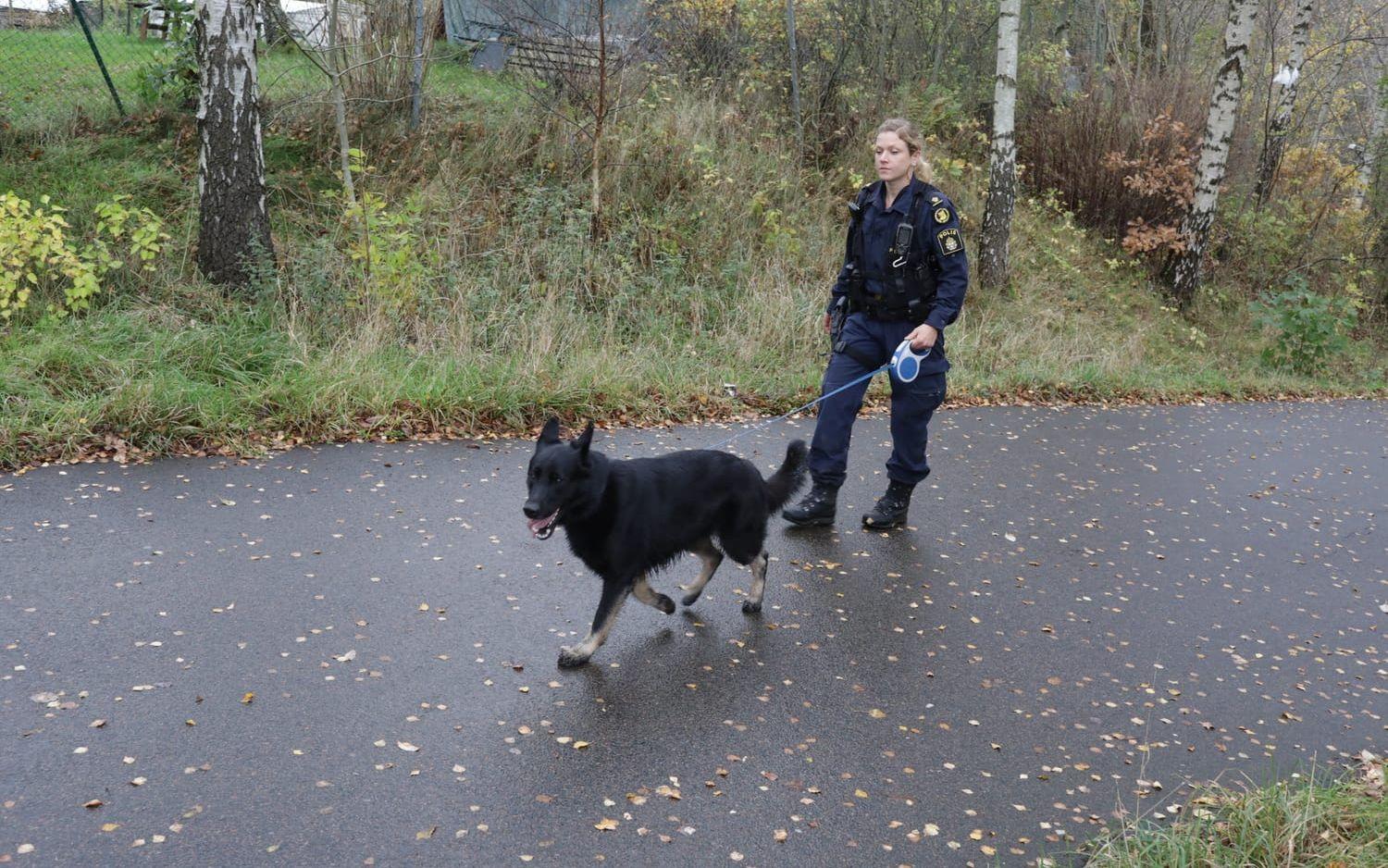 Polisen sökte med hundar efter spår i området. Bild: Per Wahlberg