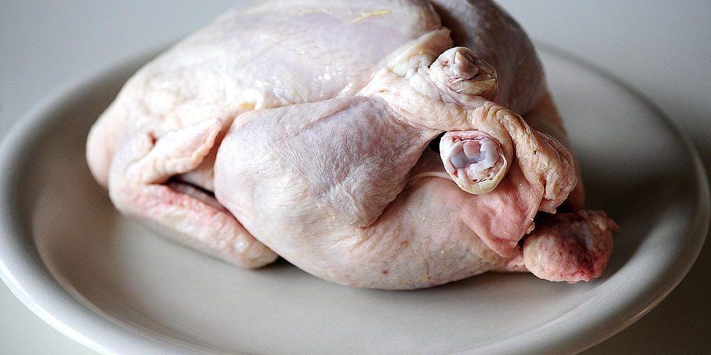 90 % av campylobacter dör när kycklingen blir fryst. Bild: TT