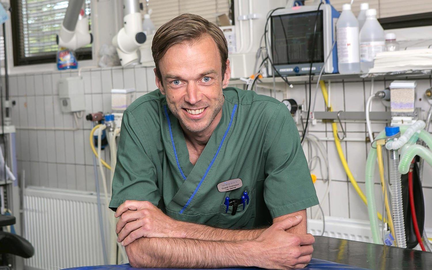 Gustaf Svensson, chefsveterinär vid Blå Stjärnans djursjukhus i Göteborg. Bild: Blå Stjärnan