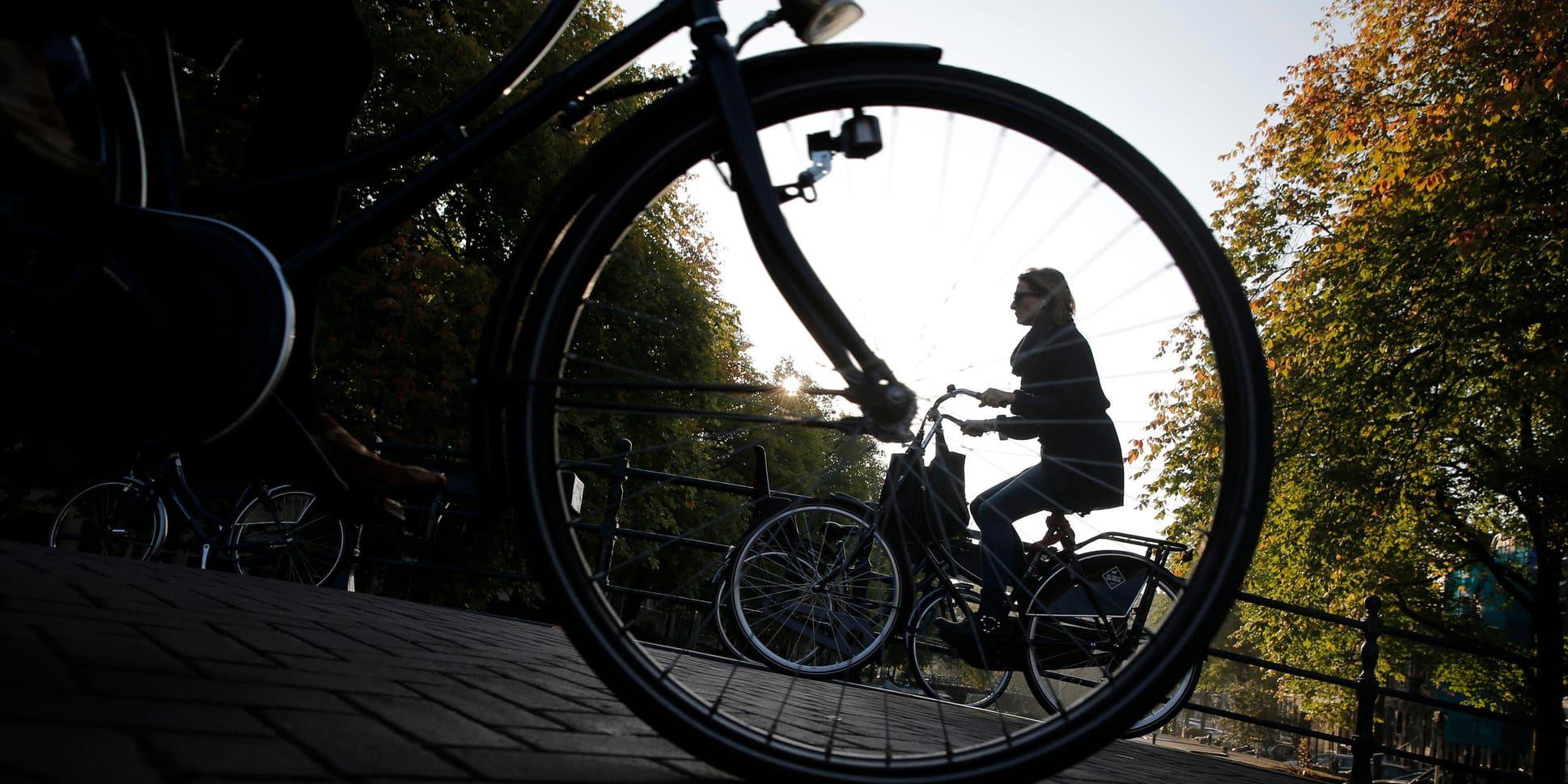 Miljontals människor tar sig fram på Nederländernas väl utbyggda cykelstråk. Nu vill regeringen förbjuda mobilanvändning under färd. Arkivbild