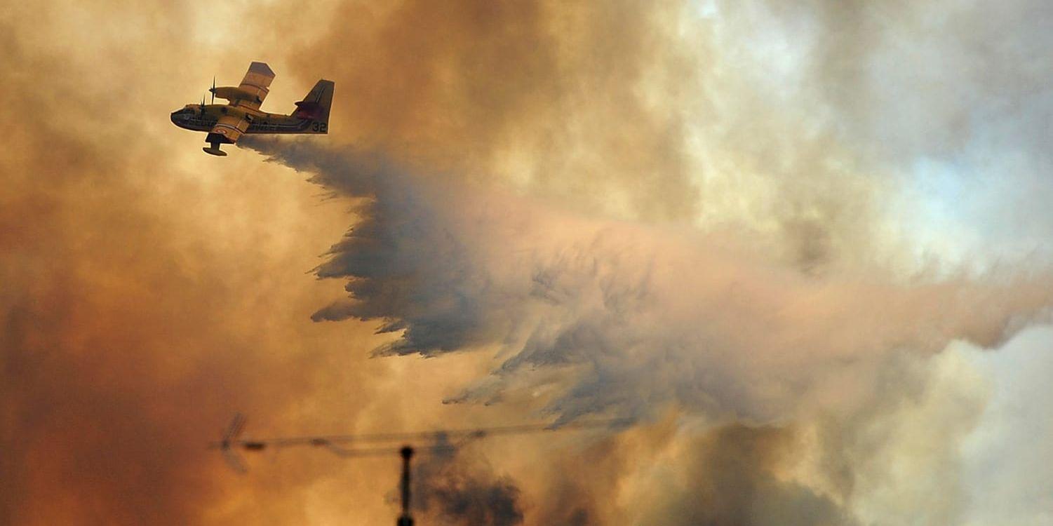 Bild från förra årets skogsbränder i Portugal då 64 människor omkom.